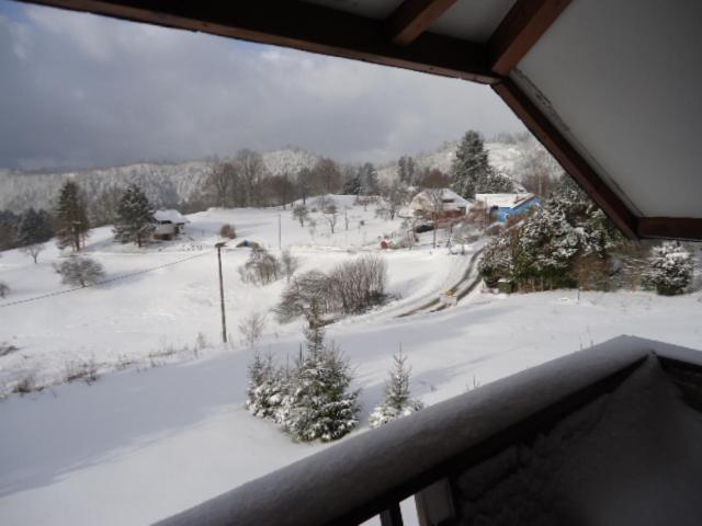 Chalet Contemporain Plein Nature Altenbach Eksteriør billede