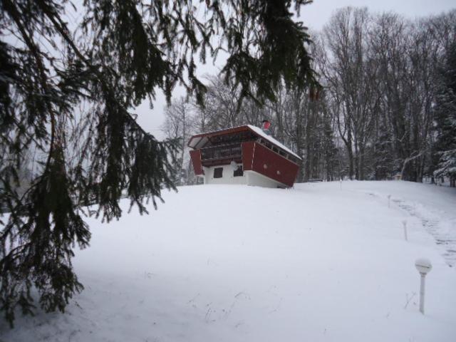 Chalet Contemporain Plein Nature Altenbach Eksteriør billede